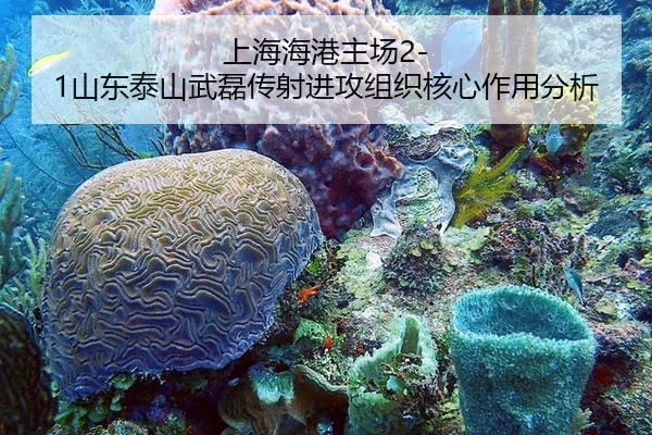 上海海港主场2-1山东泰山武磊传射进攻组织核心作用分析